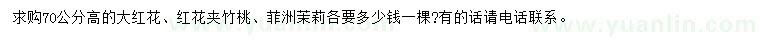求購高70公分夾竹桃、非洲茉莉