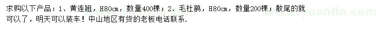 求購(gòu)高80公分黃連翹、毛杜鵑