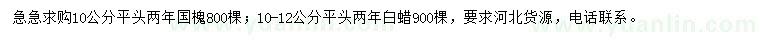 求購10公分國槐、10-12公分白蠟