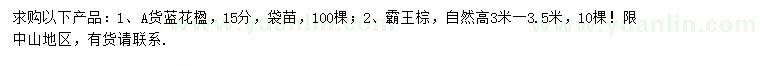 求購15公分藍花楹、高3-3.5米霸王棕