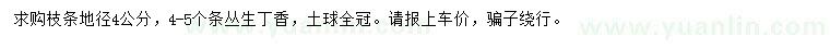 求購(gòu)地徑4公分叢生丁香