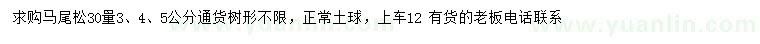 求購30量3、4、5公分馬尾松