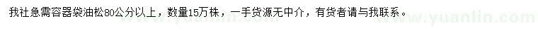 求購(gòu)80公分以上油松