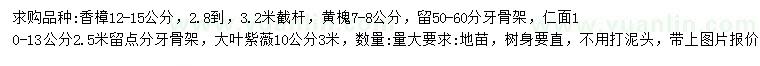 求購(gòu)香樟、黃槐、仁面等