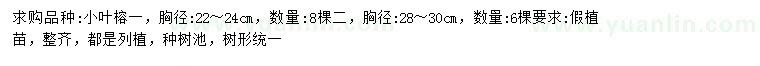 求購胸徑22-24、28-30公分小葉榕
