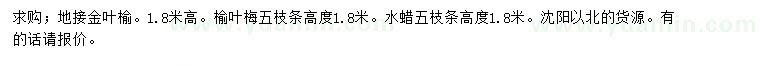 求購金葉榆、榆葉梅、水蠟