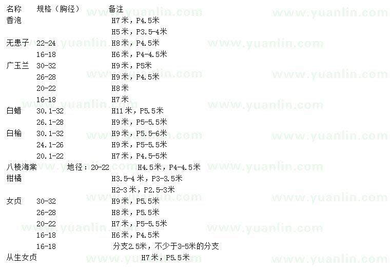 求購香泡、無患子、廣玉蘭等
