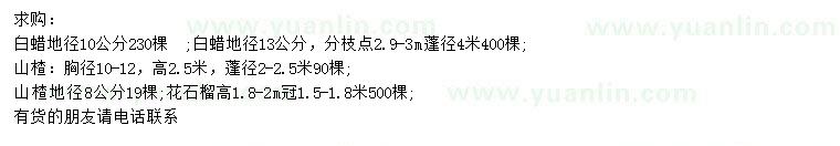 求購地徑8、10-12公分山楂樹、地徑10、13公分白蠟