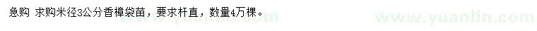 求購米徑3公分香樟袋苗