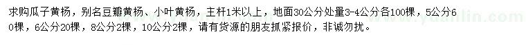 求購瓜子黃楊