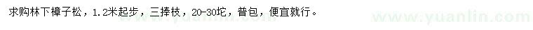 求購林下樟子松