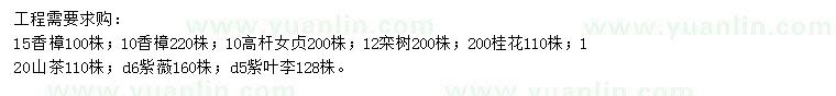 求購(gòu)香樟、高桿女貞、欒樹等