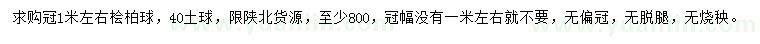 求購冠1米左右檜柏球