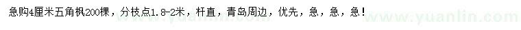 求購4公分五角楓