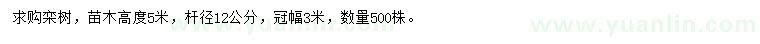 求購桿徑12公分欒樹