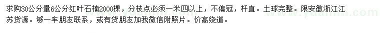 求購30公分量6公分紅葉石楠