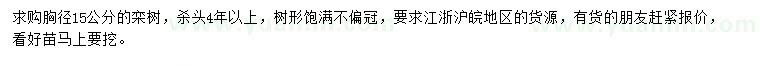 求購胸徑15公分欒樹