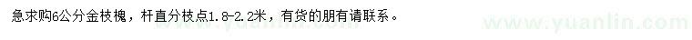 求購6公分金枝槐