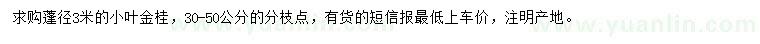 求購蓬3米小葉金桂
