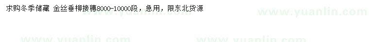 求購(gòu)金絲垂柳接穗