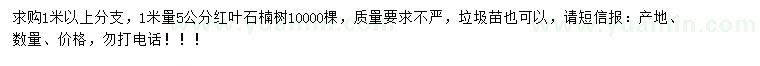 求購1米量5公分紅葉石楠樹