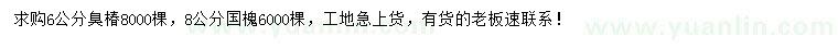 求購(gòu)6公分臭椿、8公分國(guó)槐