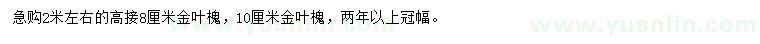 求購8、10公分金葉槐