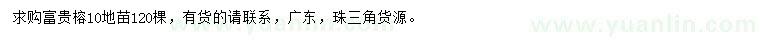 求購(gòu)10公分富貴榕地苗