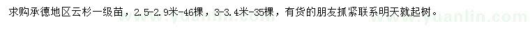 求購云杉
