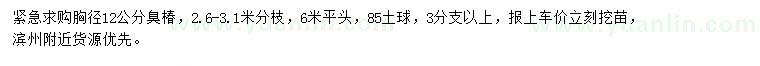 求購胸徑12公分臭椿