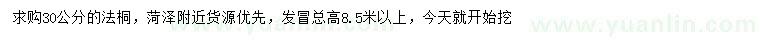 求購30公分法桐