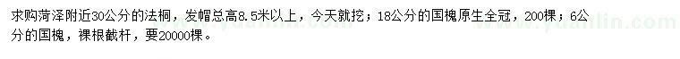 求購法桐、國槐