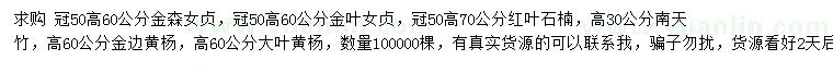 求購金森女貞、金葉女貞、紅葉石楠等