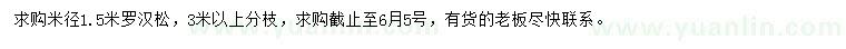 求購米徑1.5米羅漢松