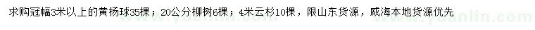 求購黃楊球、柳樹、云杉