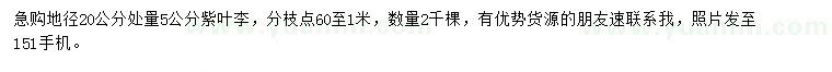 求購(gòu)地徑20公分量5公分紫葉李