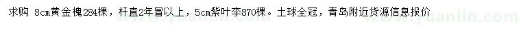 求購(gòu)8公分黃金槐、5公分紫葉李