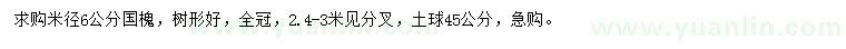 求購米徑6公分國槐