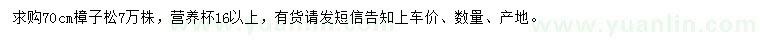 求購70公分樟子松