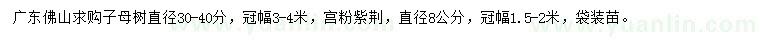 求購(gòu)子母樹、宮粉紫荊