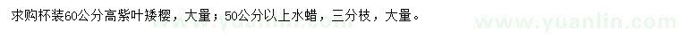求購紫葉矮櫻、水蠟