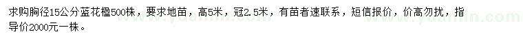 求購胸徑15公分藍(lán)花楹