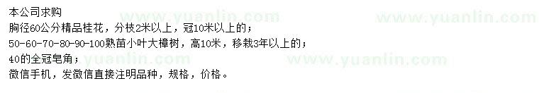 求購(gòu)桂花、小葉大樟樹(shù)、皂角