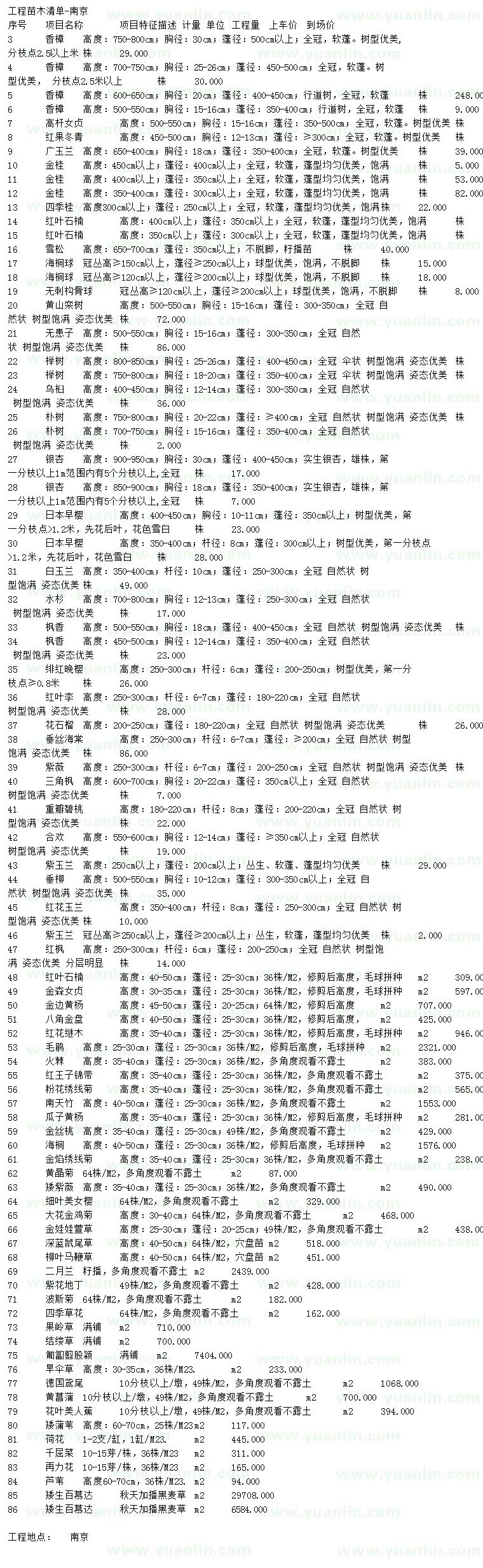 求購香樟、高桿女貞、紅果冬青等
