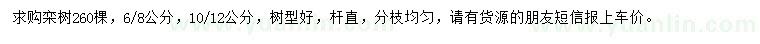 求購(gòu)6-8、10-12公分欒樹