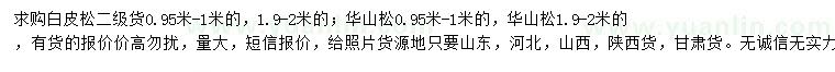 求購0.95-1米、1.9-2米白皮松、華山松