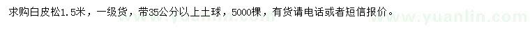 求購1.5米白皮松