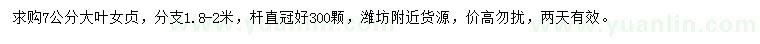 求購7公分大葉女貞