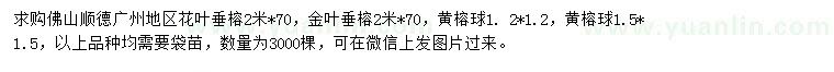 求購花葉垂榕、金葉垂榕、黃榕球