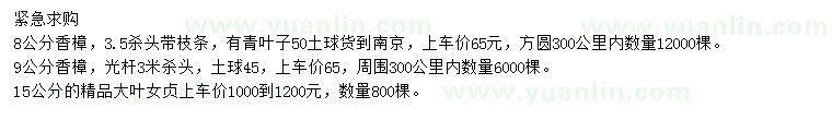 求購8、9公分香樟、15公分大葉女貞